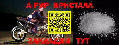 спайс Кингисепп