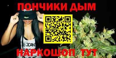 спайс Кингисепп