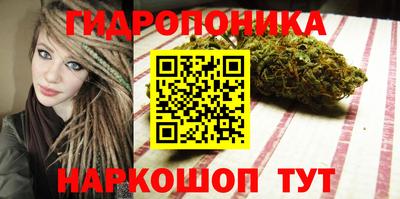 прущие грибы Кимры