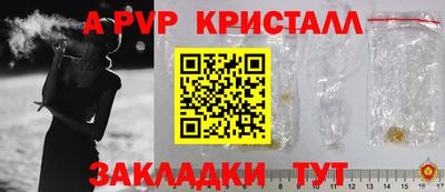 спайс Кингисепп